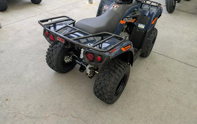 2026 Kawasaki Brute Force® 300