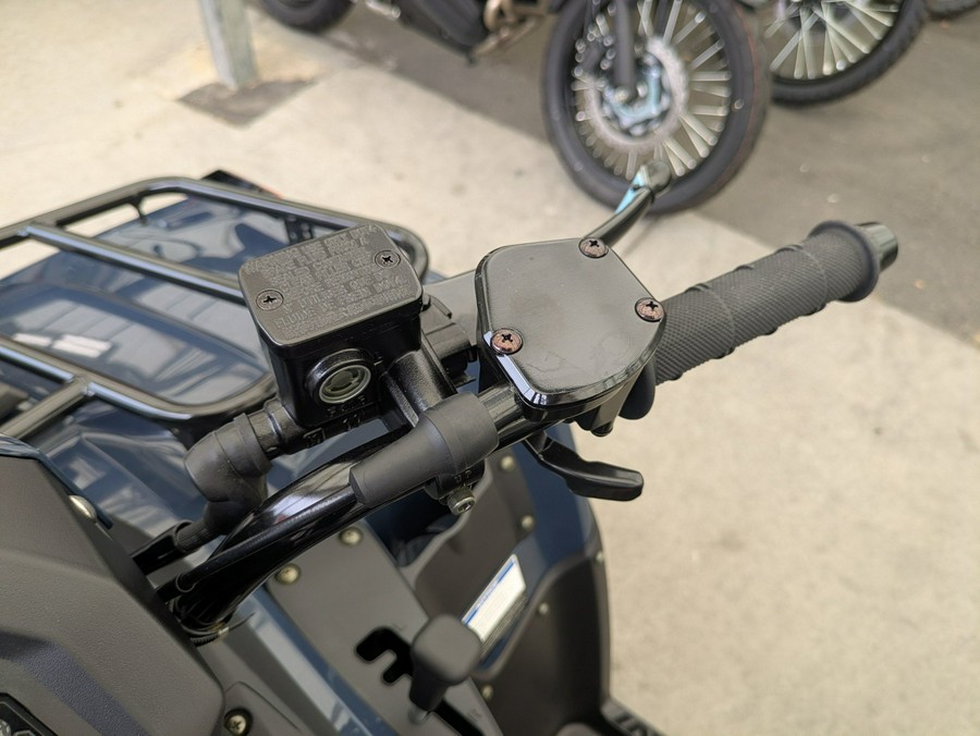 2026 Kawasaki Brute Force® 300