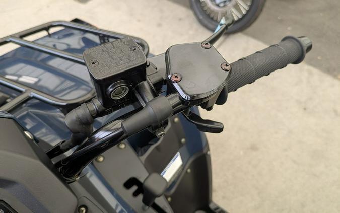 2026 Kawasaki Brute Force® 300