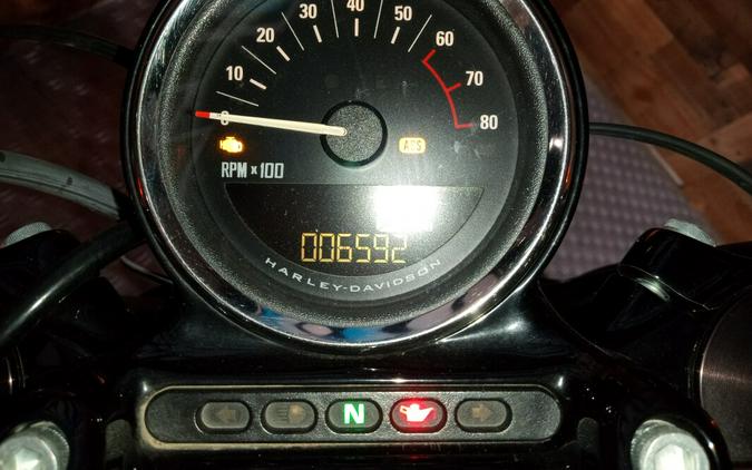 2020 Harley-Davidson Sportster® Roadster™