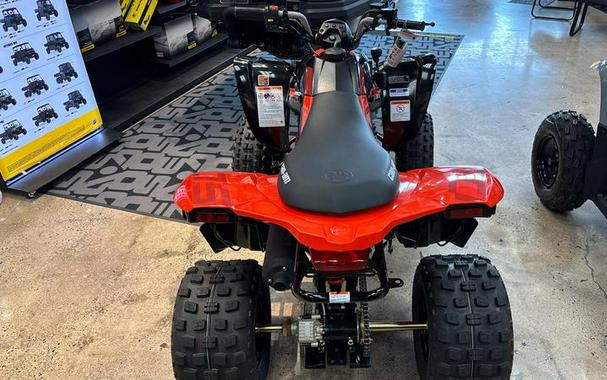 2026 Can-Am® DS 250
