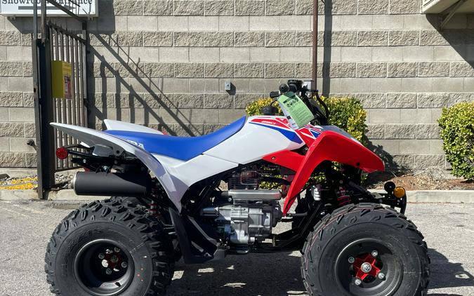 2026 Honda TRX250X