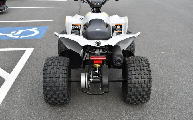 2023 Can-Am® Renegade 110 EFI