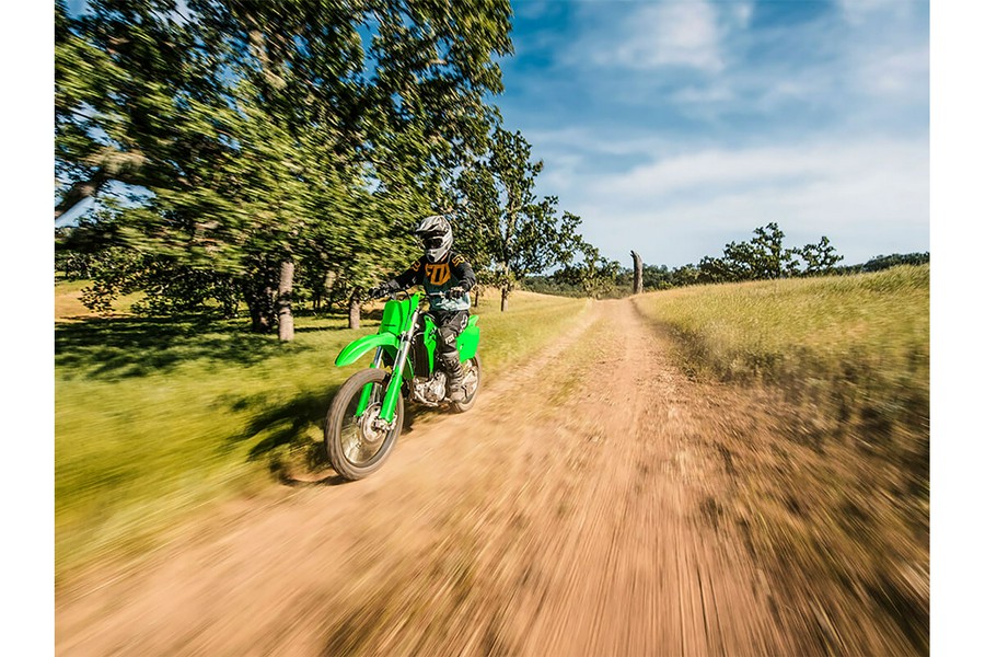 2025 Kawasaki KLX 300R