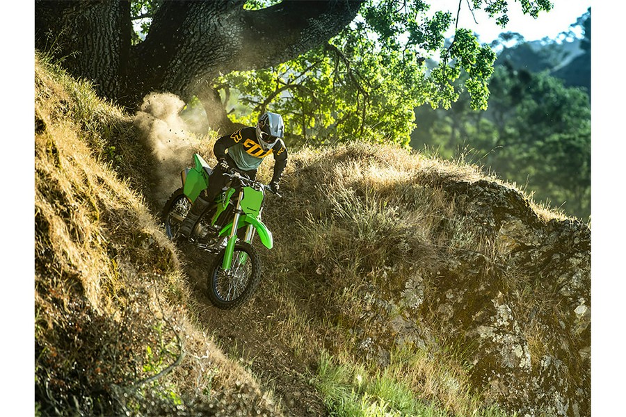 2025 Kawasaki KLX 300R