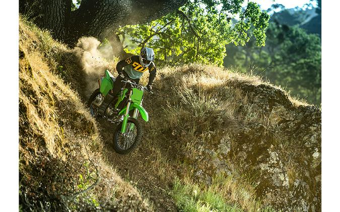 2025 Kawasaki KLX 300R