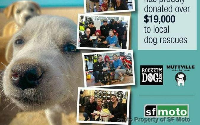 2025 Kawasaki W230 ABS