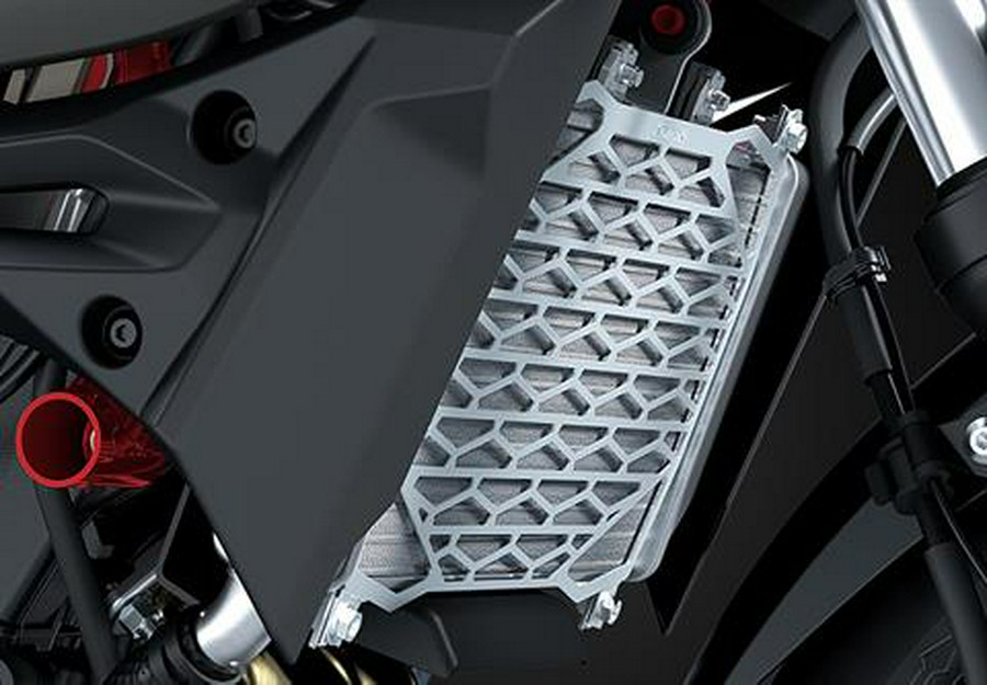 2025 Kawasaki Z500 SE ABS