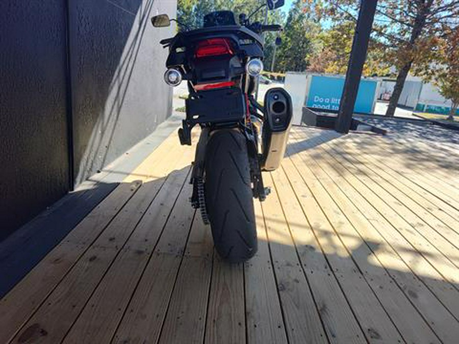 2025 Harley-Davidson Pan America® 1250 ST