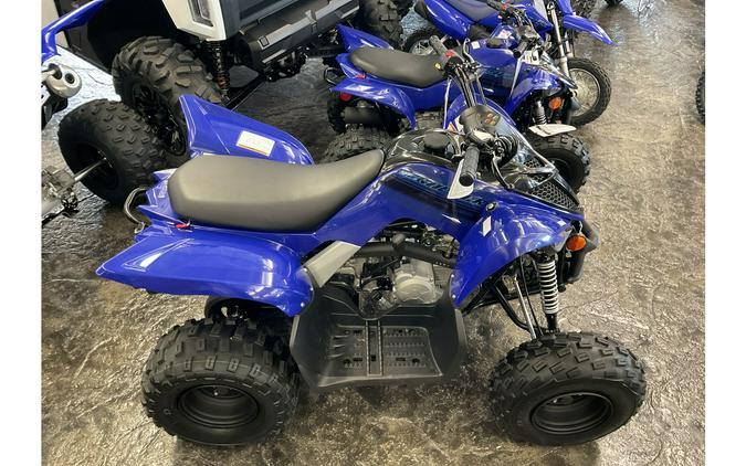 2024 Yamaha Raptor 110