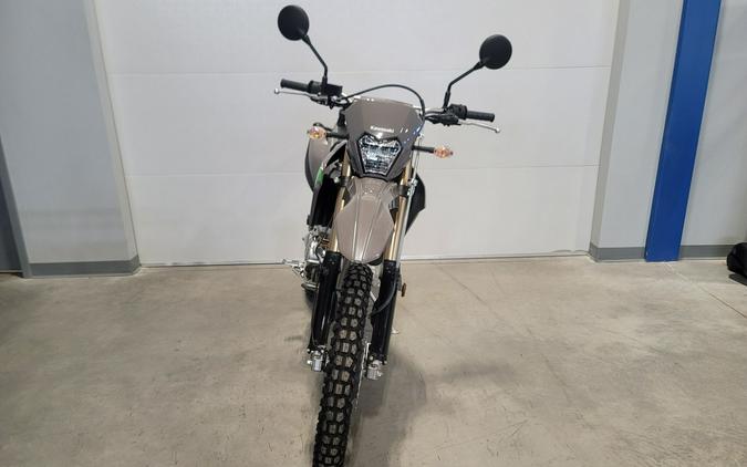 2024 Kawasaki KLX 300