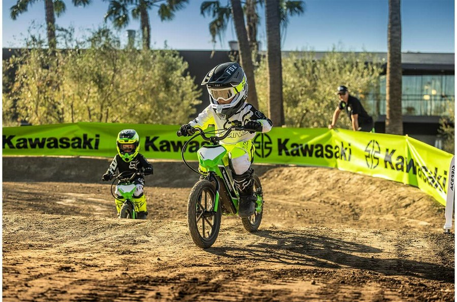 2023 Kawasaki Elektrode Bike