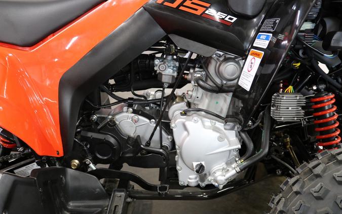 2026 Can-Am DS 250