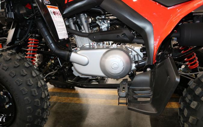 2026 Can-Am DS 250