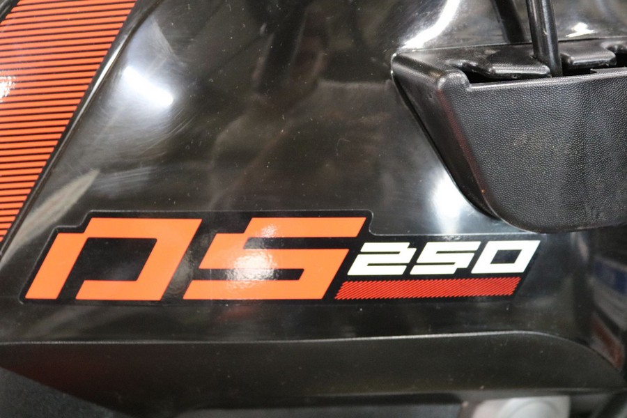 2026 Can-Am DS 250