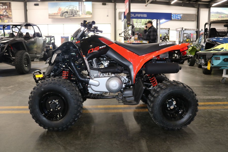 2026 Can-Am DS 250