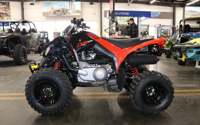 2026 Can-Am DS 250
