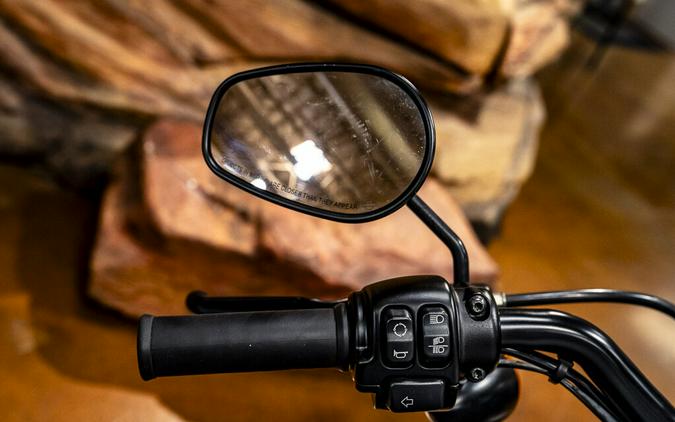 2020 Harley-Davidson Iron 883