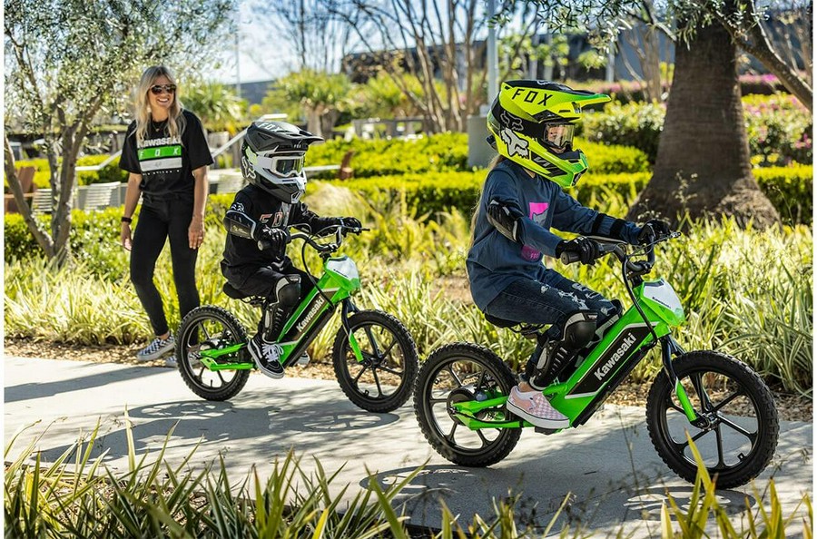 2023 Kawasaki Elektrode Bike