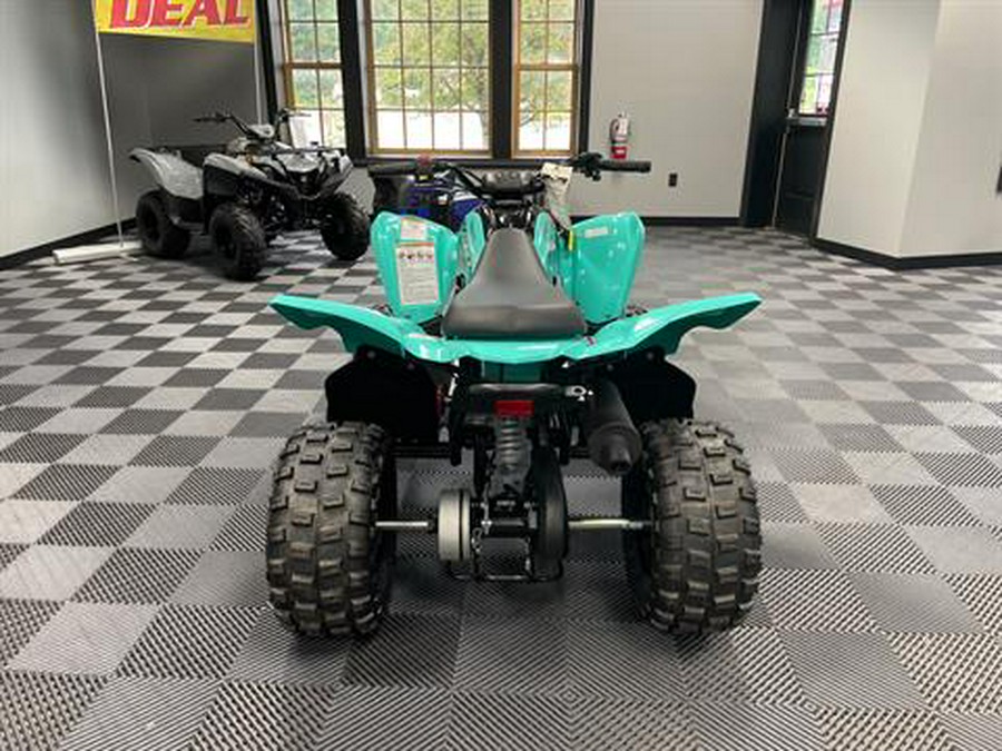 2024 Yamaha Raptor 110