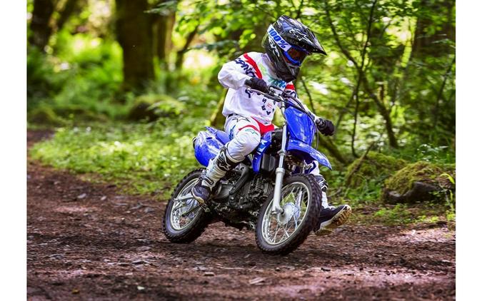 2025 Yamaha TT-R110E