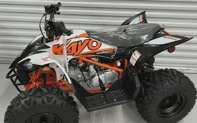 2026 KAYO PREDATOR 125