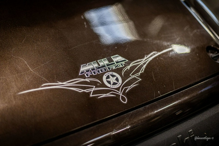 2020 Kawasaki Mule Pro-FXT Ranch Edition Ranch Edition