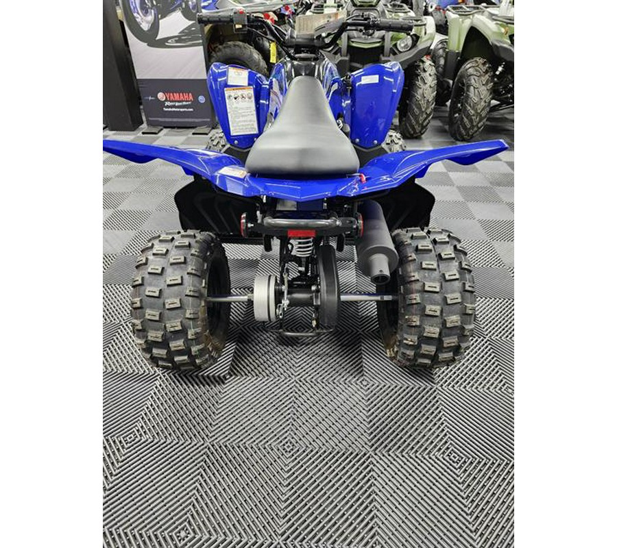 2024 Yamaha Raptor 110