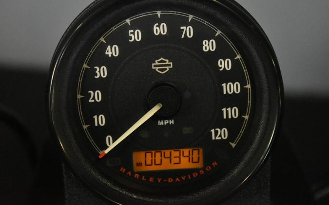 2022 Harley-Davidson Iron 883