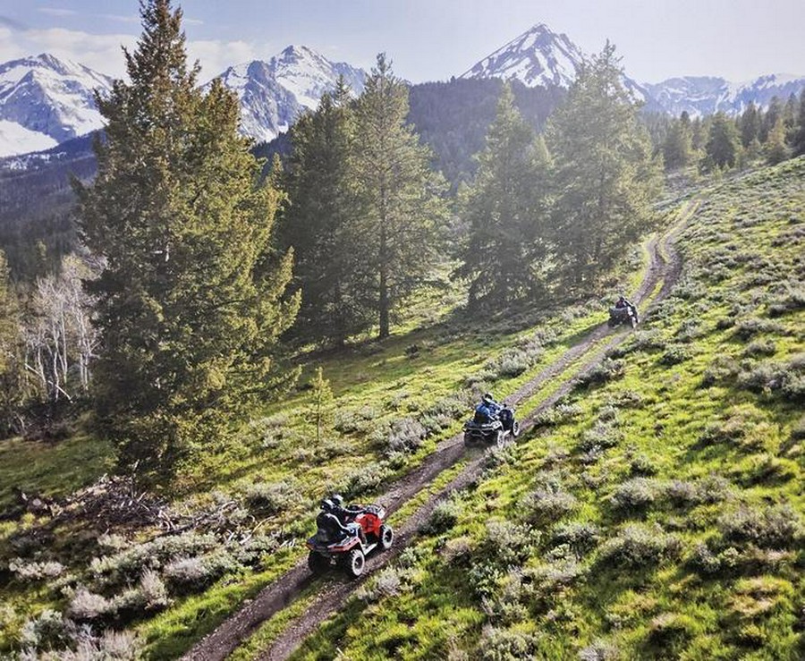 2025 Yamaha Kodiak 700 EPS SE