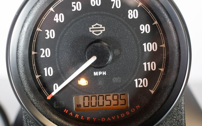 2022 Harley-Davidson Iron 883