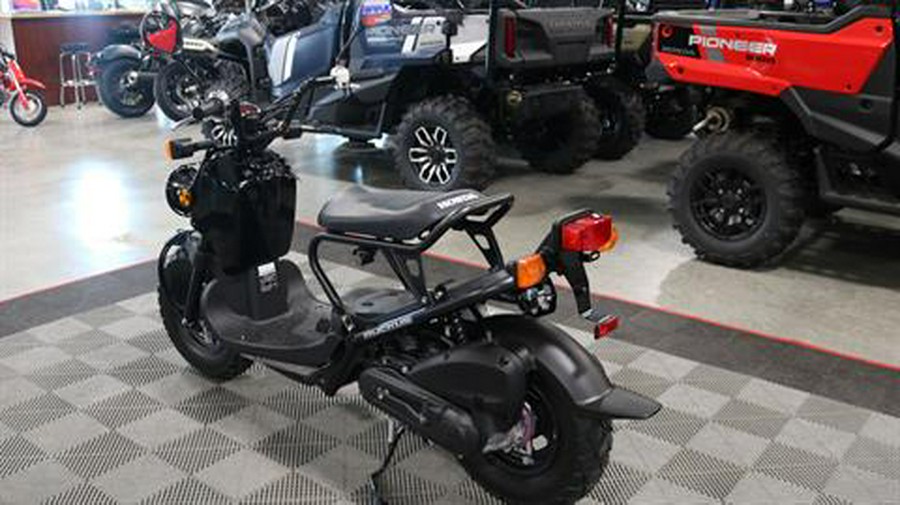 2024 Honda Ruckus