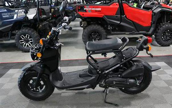 2024 Honda Ruckus