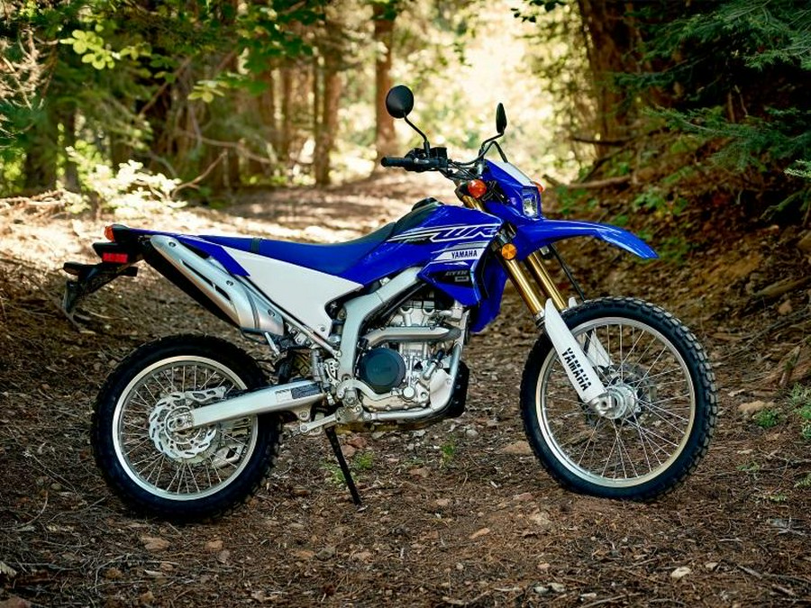 2020 Yamaha WR250R