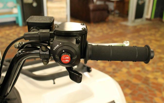 2025 Kawasaki BRUTE FORCE 450 4x4 White - SB105738