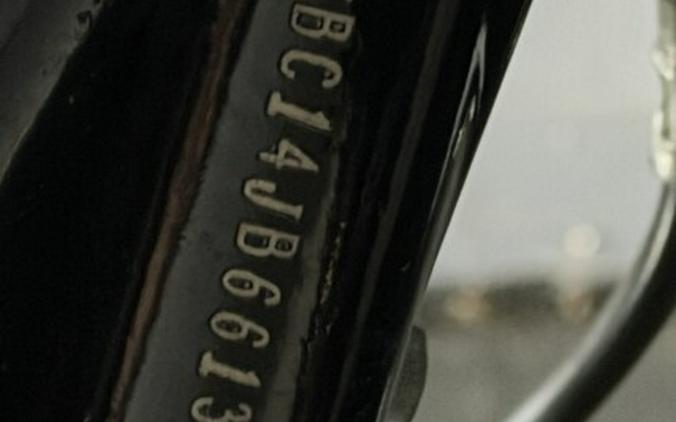 2018 Harley-Davidson® Street Glide® FLHX BLACK