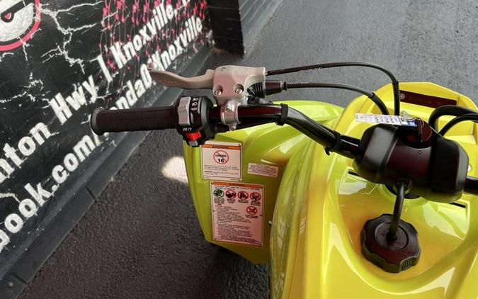 2026 Yamaha Raptor 700R SE