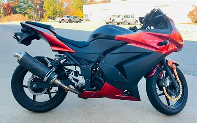 2012 Kawasaki Ninja® 250R