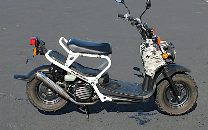 2007 Honda Ruckus®
