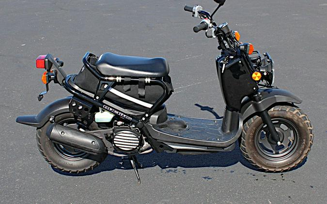 2007 Honda Ruckus®