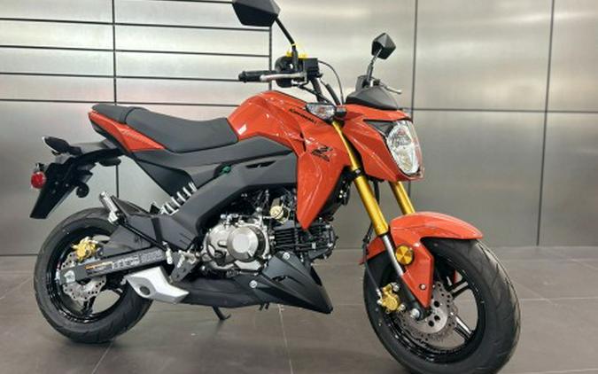 2025 Kawasaki Z125 Pro