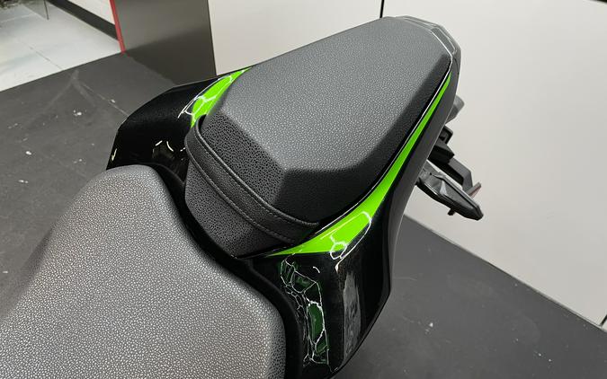 2024 Kawasaki Z900 SE
