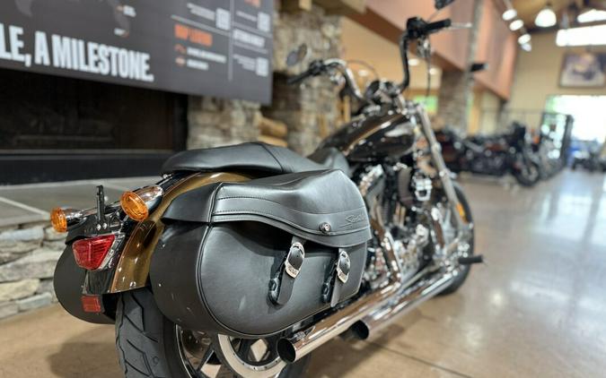 2013 XL1200C - 1200 CUSTOM - ANNIVERSARY