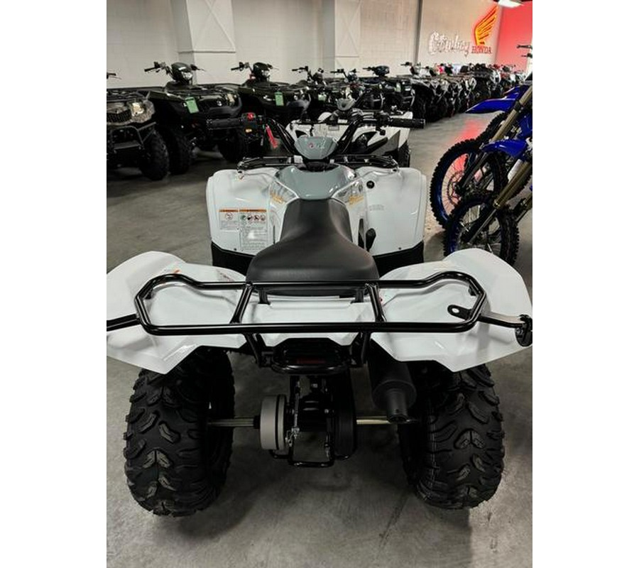 2024 Yamaha Grizzly 90