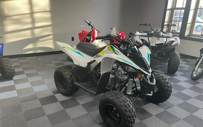 2023 Yamaha Raptor 90