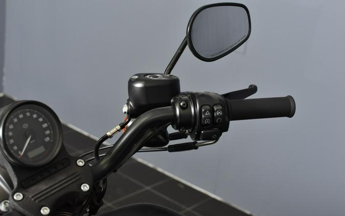 2022 Harley-Davidson Iron 883 XL 883N