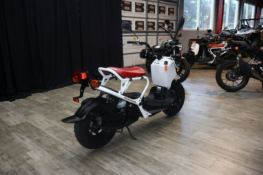 2020 Honda Ruckus