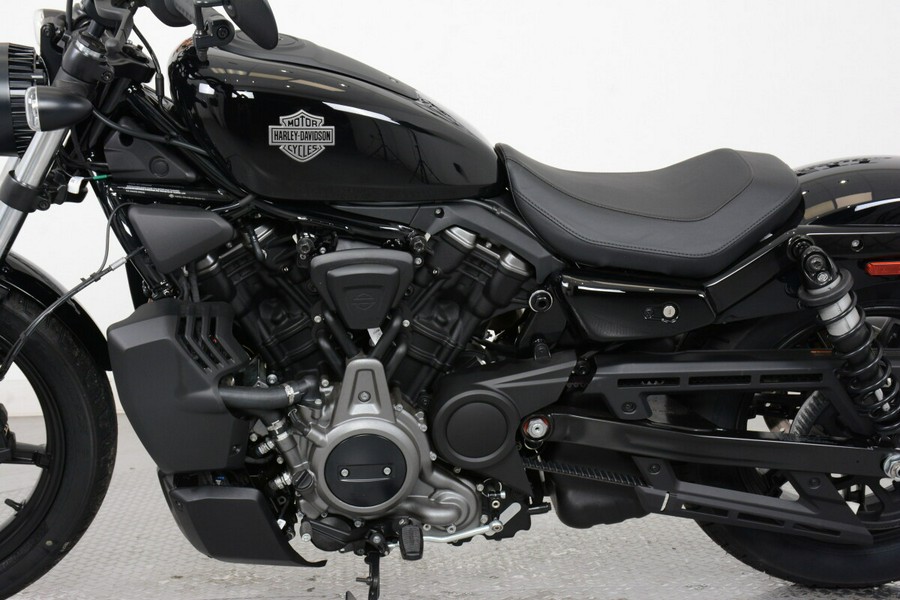 2024 Harley-Davidson RH975 Nightster™