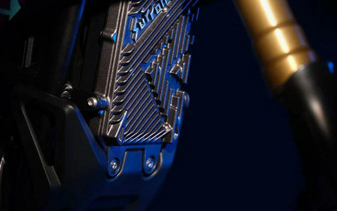 2025 Surron HYPER BEE 12/10