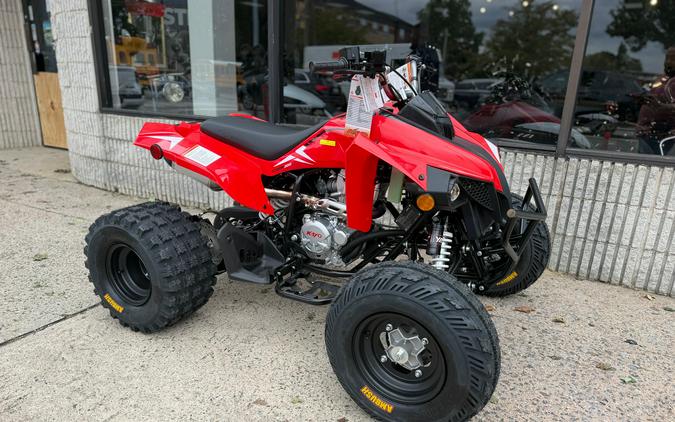 2027 Kayo Storm 300 EFI